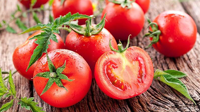 علت کوچک ماندن میوه های گوجه فرنگی